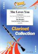 She Loves You Standard