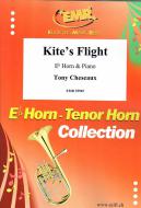 Kite's Flight Standard