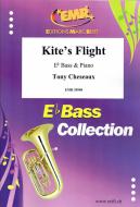 Kite's Flight Download