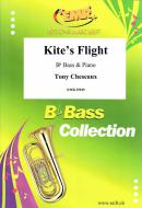 Kite's Flight Download