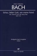 See, dearest God, the many foes BWV 153 Standard