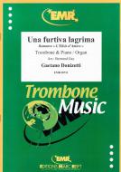 Una furtiva lagrima Standard