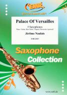 Palace of Versailles Standard