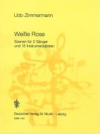 Weiße Rose 