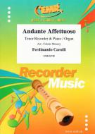 Andante Affettuoso Standard