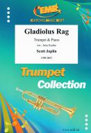 Gladiolus Rag Standard