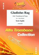 Gladiolus Rag Standard