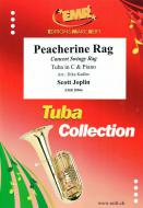 Peacherine Rag Standard