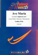 Ave Maria Standard