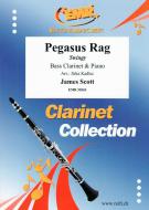 Pegasus Rag Standard
