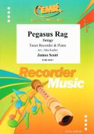 Pegasus Rag Standard