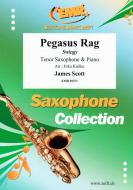 Pegasus Rag Standard