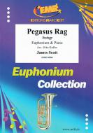 Pegasus Rag Standard