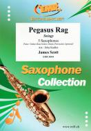 Pegasus Rag Standard