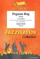 Pegasus Rag Standard