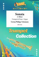 Sonata G minor Standard