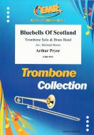 Bluebells Of Scotland Standard