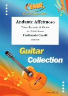 Andante Affettuoso Download