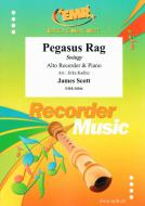 Pegasus Rag Download