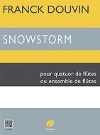 Snowstorm 