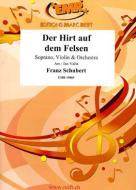 Der Hirt auf dem Felsen Standard