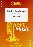 Hidden Landscapes Standard