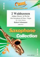 2 Waldszenen Standard