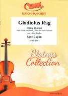 Gladiolus Rag Standard