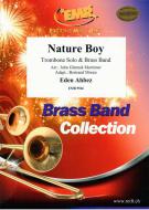 Nature Boy Standard