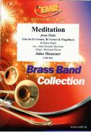 Meditation Standard