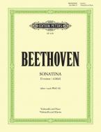 Sonatina in D minor 