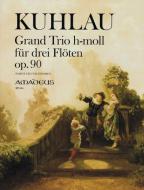 Grand trio en si mineur op. 90 