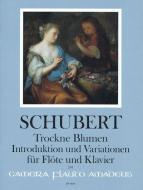 Fleurs fanées op. 160 (D 803) - Introduction et variations 