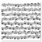 Glasses wipe Sheet music white 