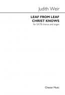 Leaf From Leaf Christ Knows 