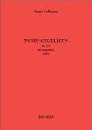 Panis Angelicus op. 47a 