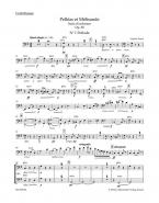 Pelléas et Mélisande op. 80 N 142b 