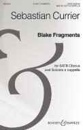 Blake Fragments 