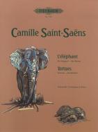 The Elephant - Tortoises 