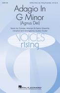 Adagio in G Minor (Agnus Dei) 