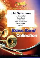 The Sycamore Standard