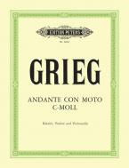 Andante con Moto in C minor 