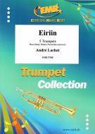 Eiriin Standard