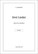 Maifahrt 