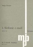 Symphony No 1 C Minor Op. 12 