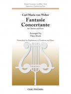 Fantasie Concertante 