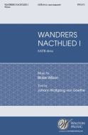 Wandrer's Nachtlied I 