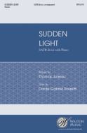 Sudden Light 