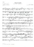 Concerto d-Moll BWV 1059R 