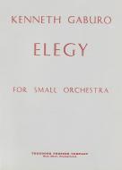 Elegy 